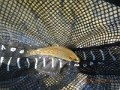 Big Spring Creek 04-05-13 005
